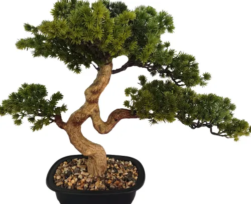 Rośliny Ozdobne*CN-163 Drzewko Bonsai Florino 135