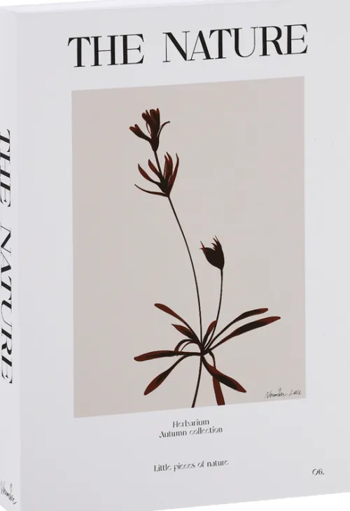 Dekoracje - Ozdoby*CN-265 Książka dekoracyjna Nature Books 8 The Nature