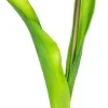 Rośliny Ozdobne*CN-163 Tulipan Florino 92 (żółty)